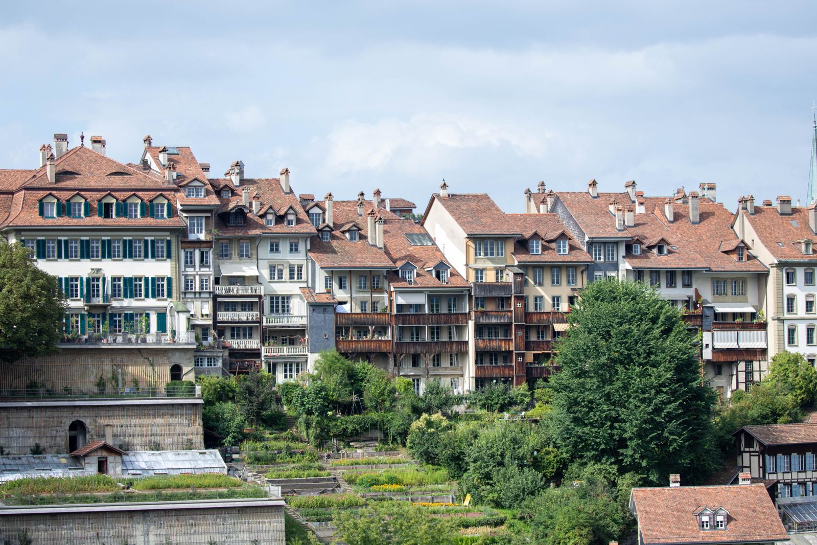 Toits d'une ville dense, sans végétalisation